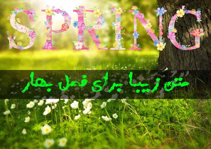 Spring Text 99 Cover